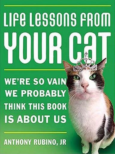 Life Lessons from Your Cat
