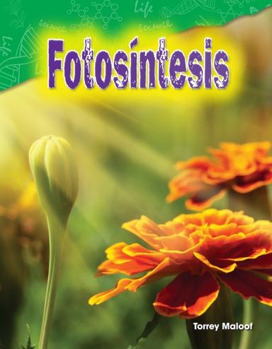Fotosíntesis ebook