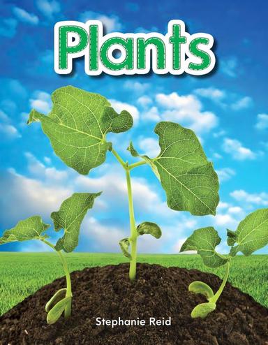 Plants