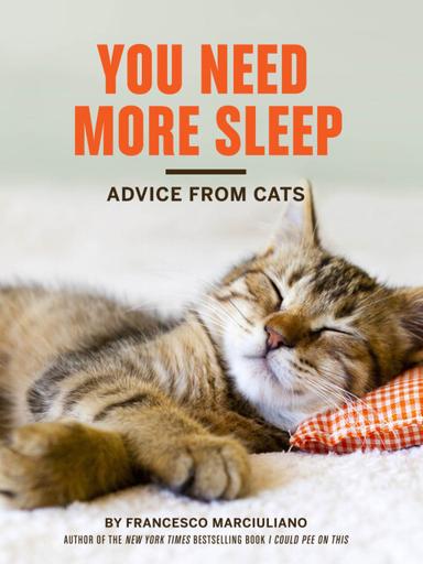 You Need More Sleep