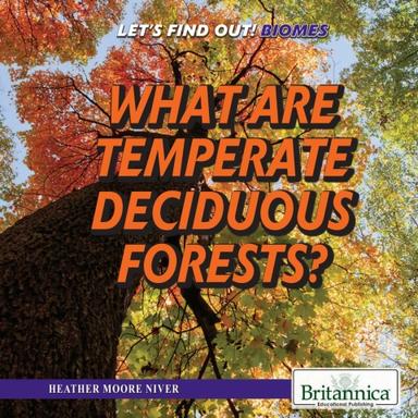 What Are Temperate Deciduous Forests?