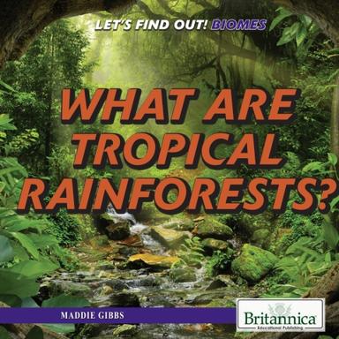 What Are Tropical Rainforests?
