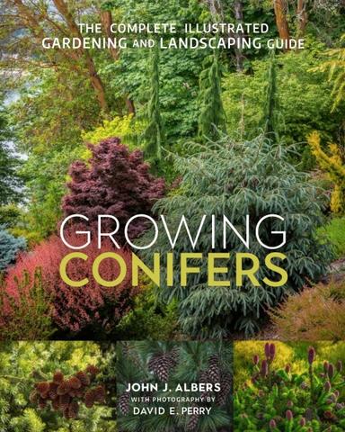 Growing Conifers