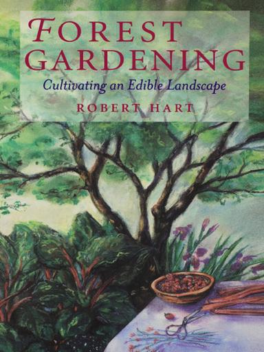 Forest Gardening: Cultivating an Edible Landscape