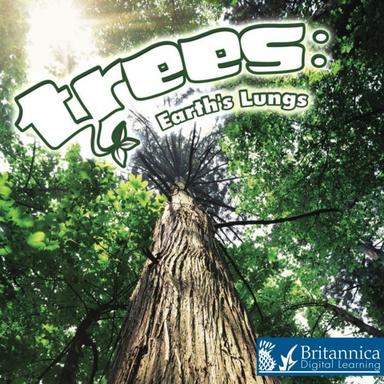 Trees: Earth's Lungs