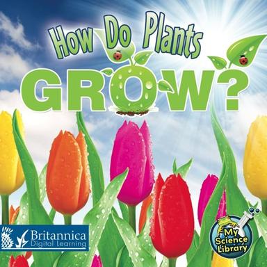 How Do Plants Grow?