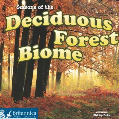 Seasons of the Decidous Forest Biome