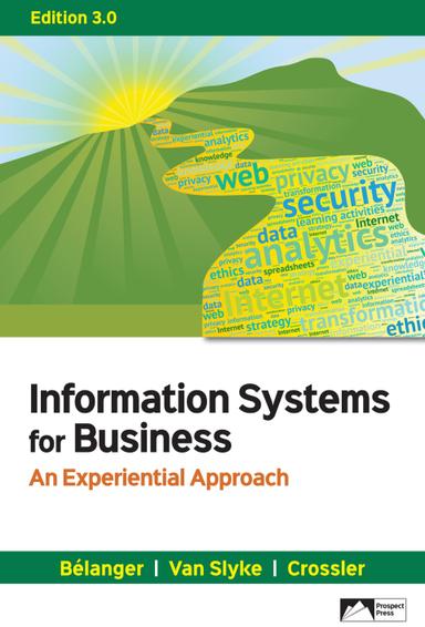 Information Systems for Business: An Experiential Approach