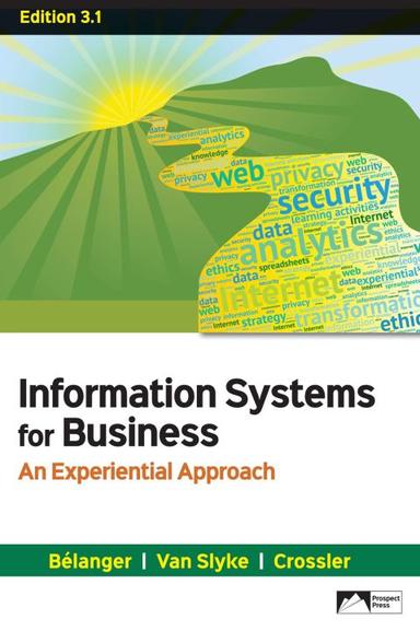 Information Systems for Business: An Experiential Approach, Edition 3.1