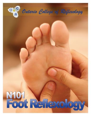 N101 Foot Reflexology